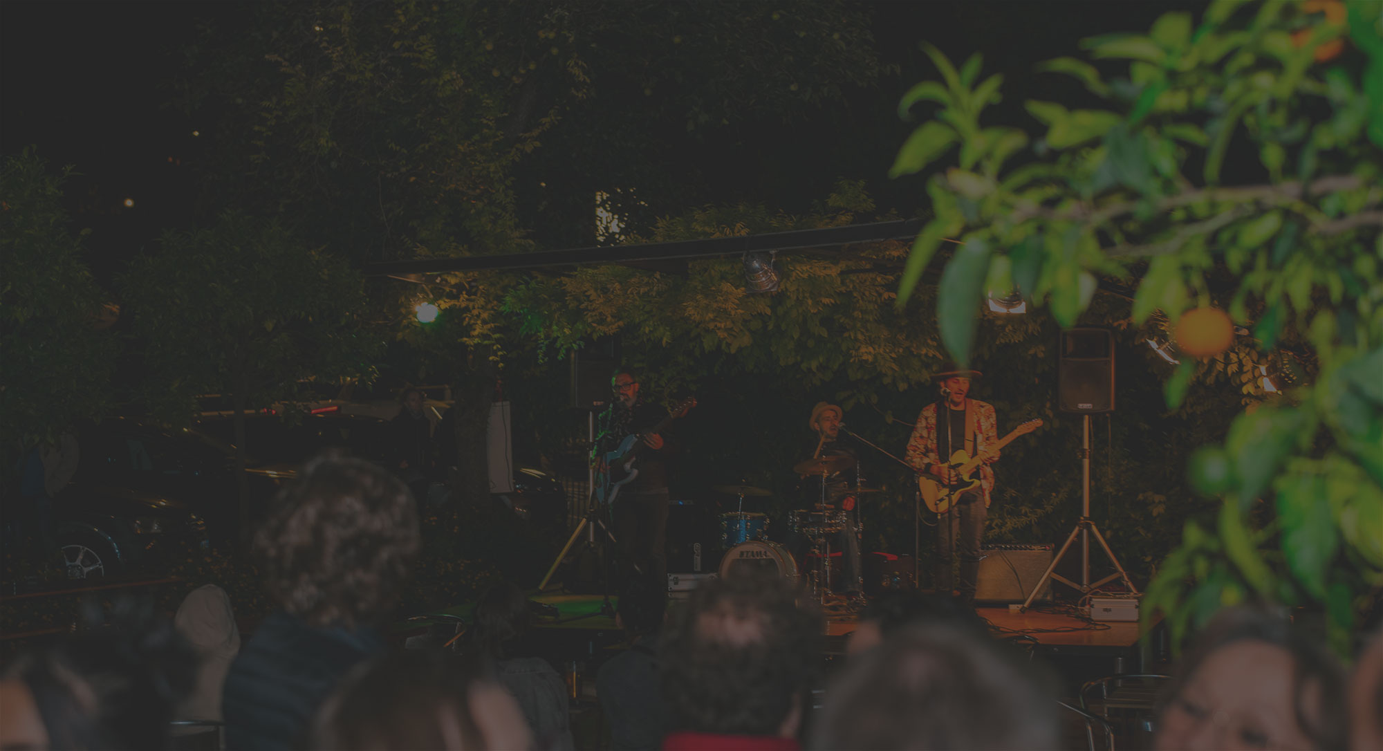 Serate di musica dal vivo al Hotel Bar Limone